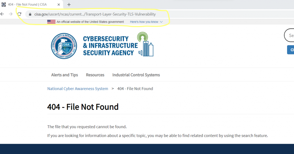 web security USA