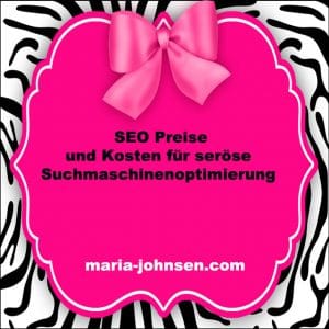 SEO Preise