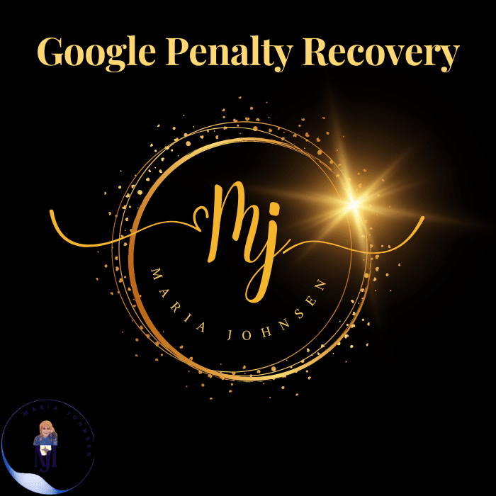 Google Penalty Recovery