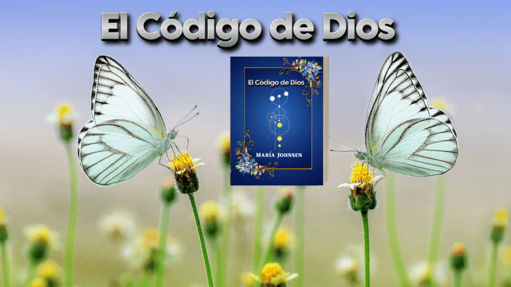 Los libros de María Johnsen 11 El codigo de dios