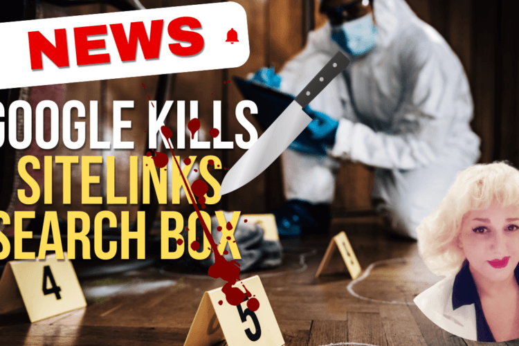 Google Kills Sitelinks Search Box 2 Google Kills Sitelinks Search Box