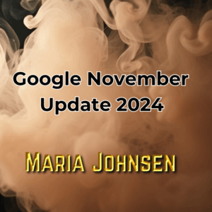 Google November Update 2024