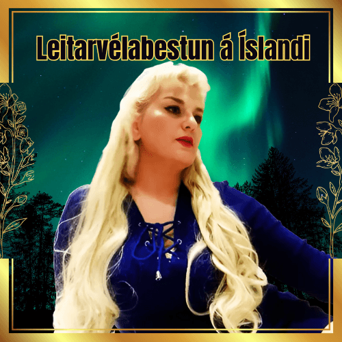 Leitarvélabestun á Íslandi